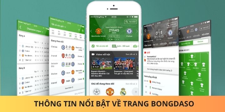 Theo dõi Bongdaso với các thông tin chính xác và chi tiết 